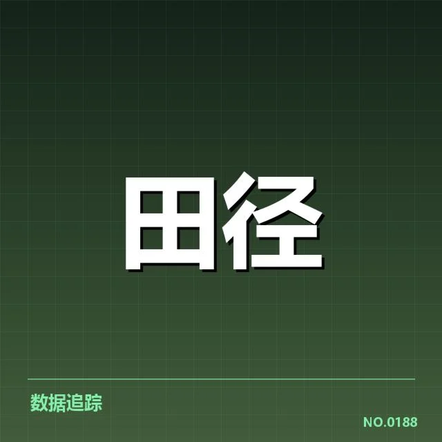 训练计划的调整与技术细节